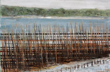 Bassin d'Arcachon - Paysage naturel